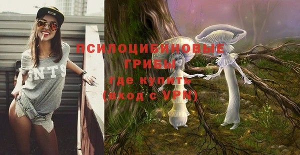 кристаллы Алексин