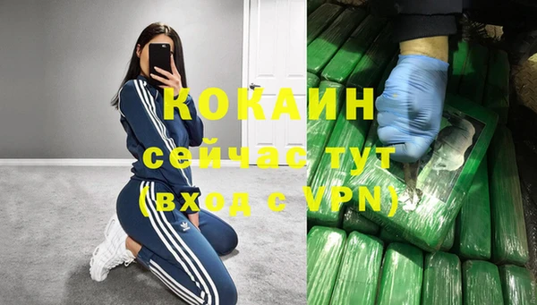 apvp Каменка