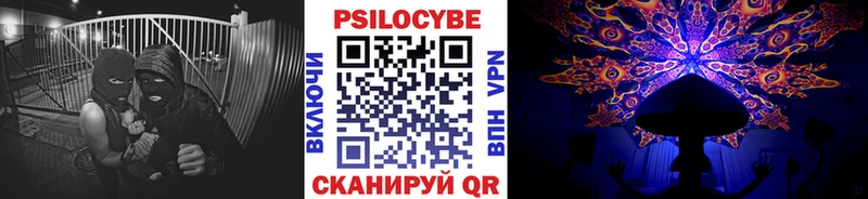 darknet как зайти Новозыбков Псилоцибиновые грибы ЛСД